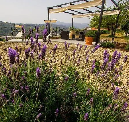 Casa vacanze Casa Rosmarino *